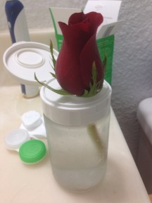 My Lone Bathroom Rose