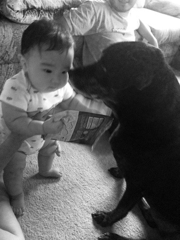 My Nephew + Puppy = Precious Moments