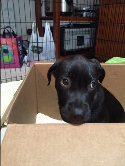 First night home in a box! 