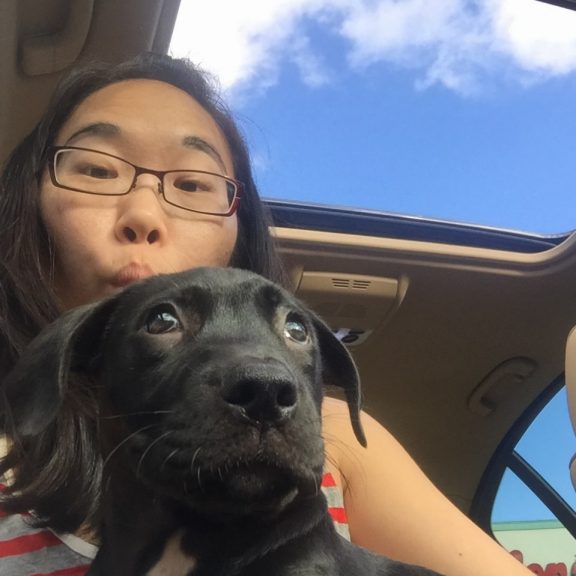 Getting acquainted with a car ride!