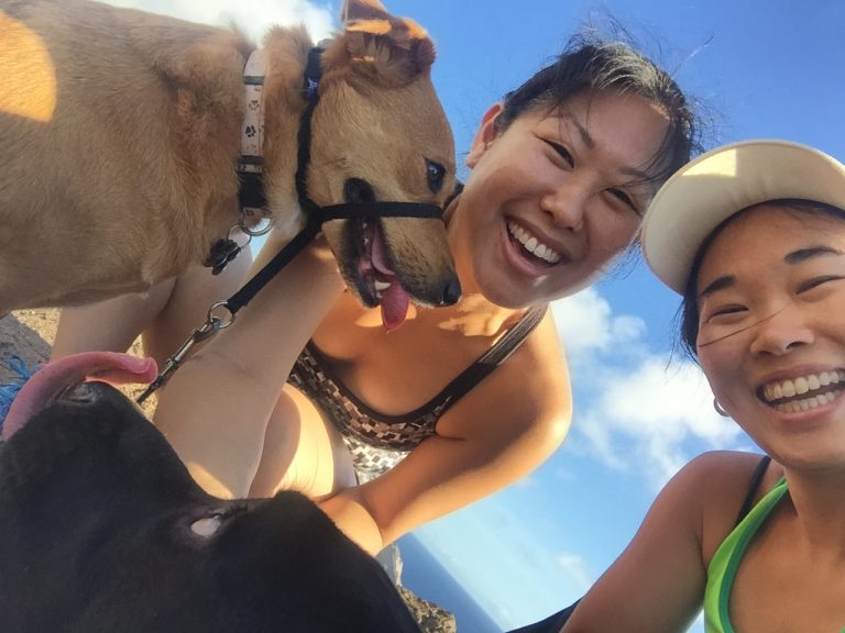 Hiking with our human and fur pals on the 4th of July!