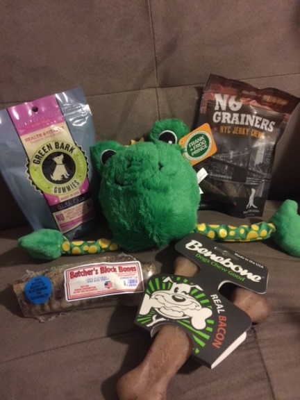 Luna's 1st BarkBox!