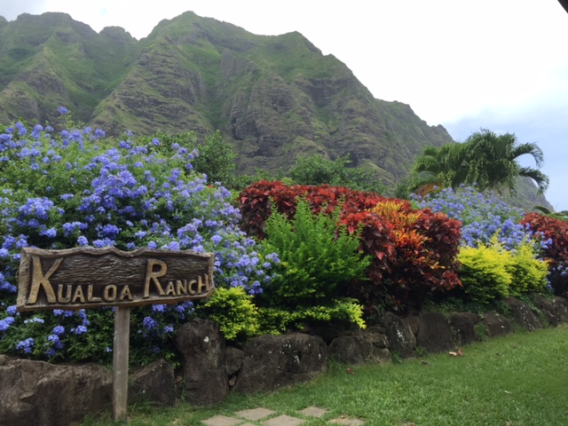 Welcome to Kualoa Ranch! 